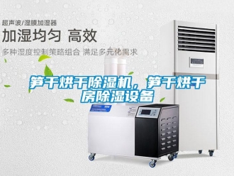 知識(shí)百科筍干烘干除濕機(jī)，筍干烘干房除濕設(shè)備