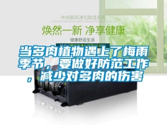 企業(yè)新聞當(dāng)多肉植物遇上了梅雨季節(jié)，要做好防范工作，減少對(duì)多肉的傷害