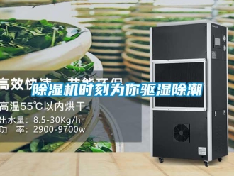 企業(yè)新聞除濕機(jī)時(shí)刻為你驅(qū)濕除潮