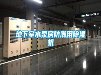 企業(yè)新聞地下室水泵房防潮用除濕機