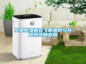 企業(yè)新聞工業(yè)除濕機在飛機維護與存儲領(lǐng)域的應(yīng)用