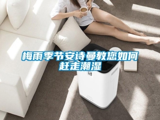 企業(yè)新聞梅雨季節(jié)安詩曼教您如何趕走潮濕