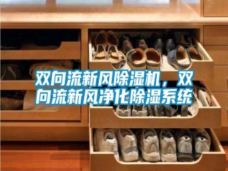 知識(shí)百科雙向流新風(fēng)除濕機(jī)，雙向流新風(fēng)凈化除濕系統(tǒng)