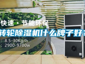 知識(shí)百科轉(zhuǎn)輪除濕機(jī)什么牌子好？