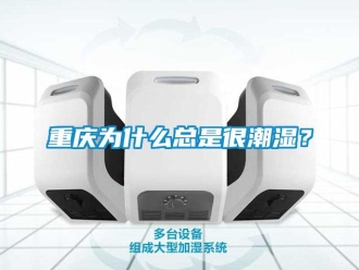 知識百科重慶為什么總是很潮濕？