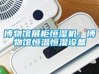 知識(shí)百科博物館展柜恒濕機(jī)，博物館恒溫恒濕設(shè)備